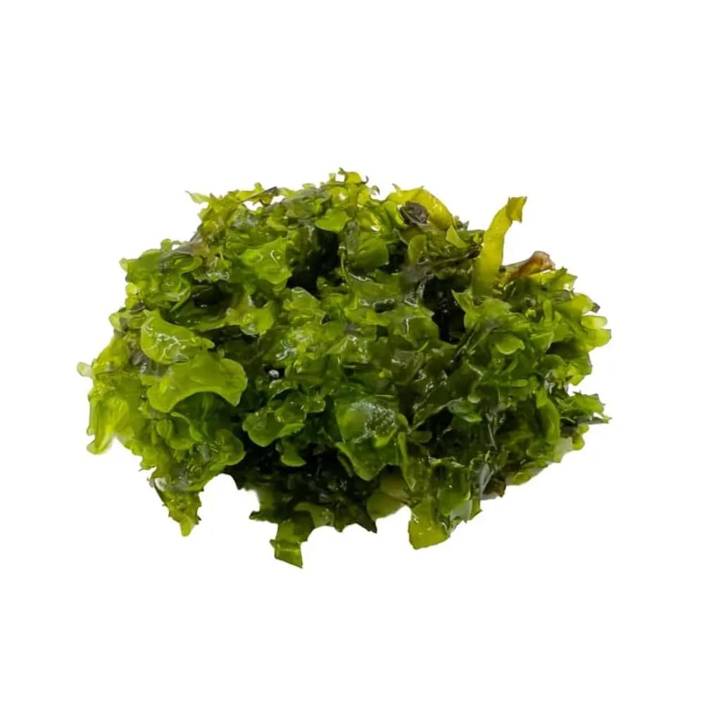 Pelia Moss Portion (Subwassertang/Monosolenium tenerum) for Aquariums
