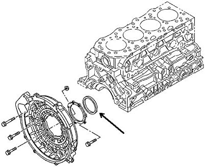 Oil Seal Crankshaft Rear For Isuzu NHR NPR NKR Reach 4JJ13.0L 4JB12.8L New Oem