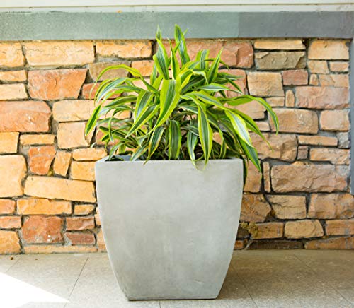 Kante 15" D Modern Square Natural Concrete Planters Lightweight Outdoor Indoor Planter Pots With Drainage Holes For Patio, Backyard, Living Room Natural Concrete #TOP3