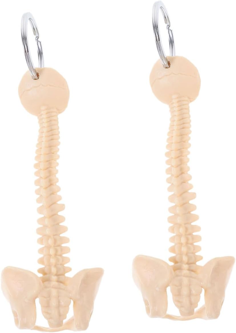 Yardwe 2pcs Real Human Spine Keychain Skeleton Keyring Accessories for Halloween Decorative Use
