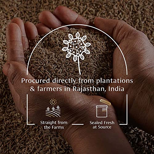 Image of VAHDAM, Cumin Whole (2.47oz /70g) Gluten Free Cumin Seeds (Jeera Seeds Whole) 100% Raw from India, Aromatic Spice | Gluten Free & Non GMO | Nigella Sativa Seeds Whole