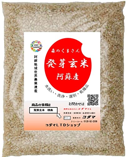健康米のコダマ 発芽玄米ドライタイプ 世界農業遺産阿蘇産