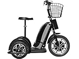 MotoTec Electric Trike 48v 800w Mobility Scooter