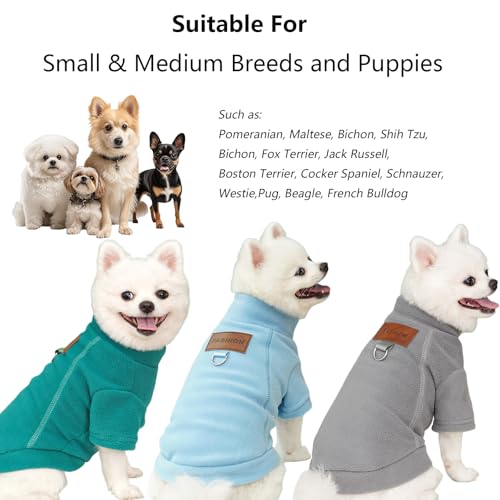 2 Stück/3 Stück Fleece Hundepullover für kleine Hunde, weicher Warmer Rollkragen Hunde Sweater Mantel, Haustier Welpe Katze Winterbekleidung (A-Grau Grün Blau, M)