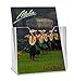 Source One Deluxe Vertical Postcard Holder Clear Acrylic - Counter Top