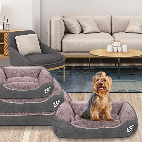 buy large dog bed