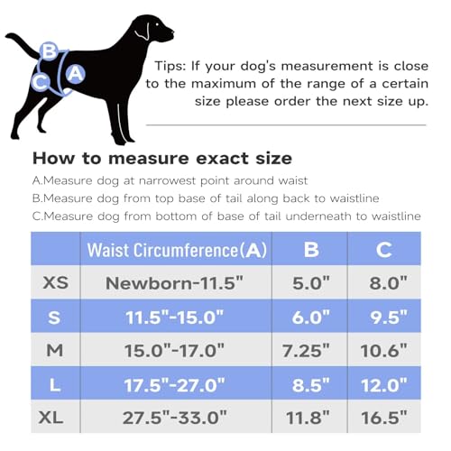 Image of Paw Legend Washable Reusable Female Dog Period Diapers for Heat Doggie Puppy Diapers for Female Dogs (3 Pack, Small)
