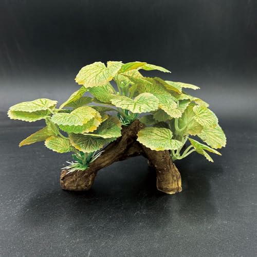 Image of Fish Tank Decorations Aquarium Decor Ornaments Betta Silk Leaf pad Hammock Artificial Driftwood Cave Goldfish Bowl Accessories