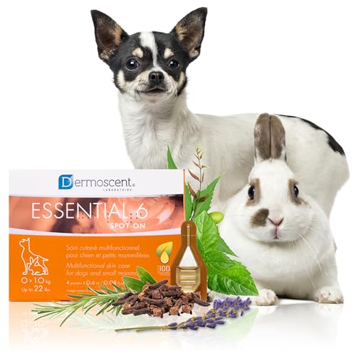 Dermoscent Essential 6 Spot-On | 4 x 0,6 ml | Für kleine Hunde, Katzen und Kleintiere | Kann zur Linderung von Juckreiz beitragen | Mit Vitamin E | Mühelose Anwendung