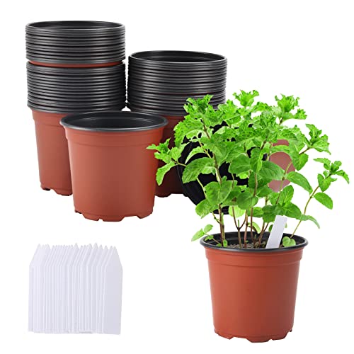 Whonline 150 Pack Flexible Plant Nursery Pots 4 Inch Thickened Soft Plastic Seedling Pots Seed Starting Pot Flower Plant Container For Succulents Seedlings Cuttings Transplanting With Plant Label #TOP9