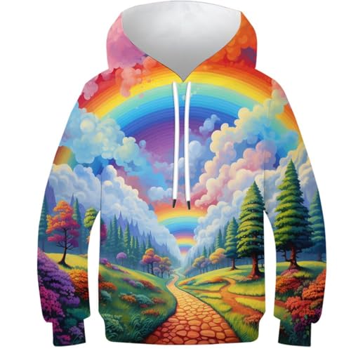 Sweat à capuche 3D ado fille garçon pull multicolore hiver 8-10Y