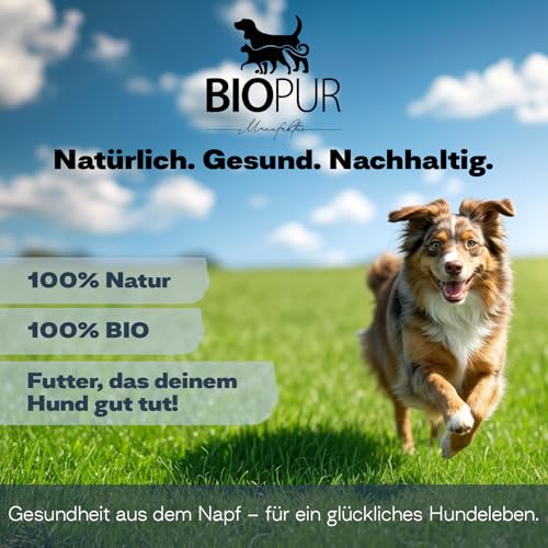 BIOPUR Bio Leberdiät Hundefutter – Premium Nassfutter für Hunde in 100% Lebensmittelqualität – Getreidefreies Diätfutter für Hunde – Hochwertiges Bio Nassfutter bei Leberinsuffizienz – 6 x 400g Dose