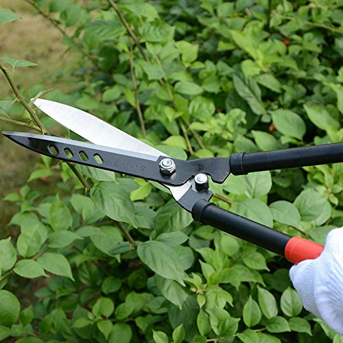 Cesoie da potatura Manico Antiscivolo Cesoie da potatura Forbici da Giardinaggio affilate Rami Innesto di Fiori Alberi Trimmer Cutter Potatore a Mano Cesoie per Ogni Famiglia