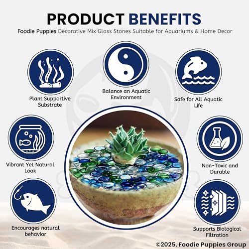 Image of Foodie Puppies Flat Glass Clear Stone for Aquariums, Fireplace, Firepit Glass for Indoor and Outdoor, Vase Filler, Hydroponics Plants, Home Decor and DIY Craft (800gm, Mix) (Glass Stone)