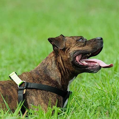 Dingo Dog Harness with Plastic Buckle Easy Wearing, Handmade of Material Green, Black Contrast 94614, 60 - Image 2