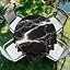Black Marble