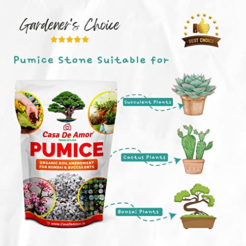 Casa De Amor Pumice Essential Soil Amendment for Bonsai & Succulents Plants (2 KG)