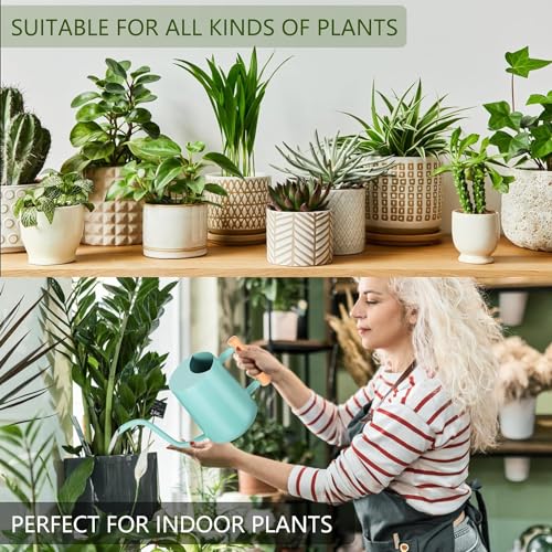 GUKJOB Watering Can Indoor Plants, 1 Litre Watering Can, Small Indoor Watering Cans, Metal Stainless Steel - Image 4