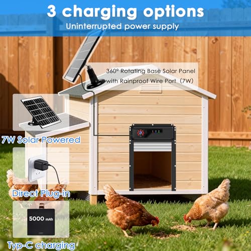 Automatic Chicken Coop Door Solar