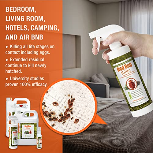 Image of EcoVenger Bed Bug Killer with Remote Sprayer 1 Gal - Kills 100% All Stages on Contact- Kills Resistant Bugs- Kills Eggs- 14 Day Residual Protection- Non-Toxic- Child & Pet Friendly