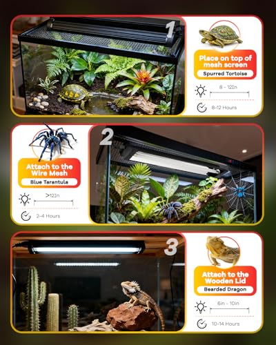 Image of UVB Light for Reptile 8W, T5 UVB Reptile Light Fixture HO Combo Kit with Test Sensor Cards, 12 inch High Output Reptiles Light Bar UVA UVB Desert Lamp for Turtle Lizard Bearded Dragon Tank