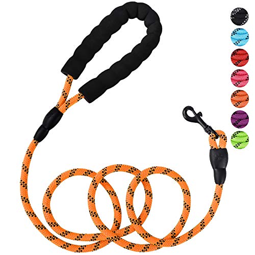 Petmegoo 5Ft 1/3In Light Weight Strong Orange Dog Leash For Small Dogs & X Small Dogs, Highly Reflective Durable Rope Puppy Leash With Soft Padded Anti-Slip Handle For Casual Walk (0~18 Lbs.) #TOP5