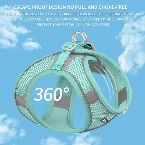 Image of AIITLE Dog Harness, No-Pull Cat Harness with a Leash, Adjustable Reflective Dog Vest, Cat Harness Escape Proof, Outdoor Walking, Running for Extra Small Dogs and House Cats Pure Turquoise XXXS