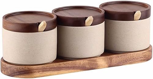 Tarros de especias Tarro de condimentos de cerámica áspera de estilo japonés chino retro cocina tarro de condimentos de cerámica tarro de sal caja