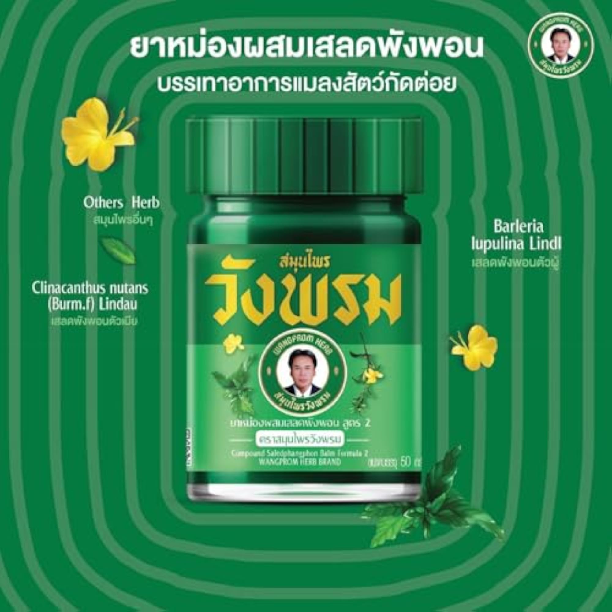 Wanng Phrome Green Balm, 5g Pack of 1