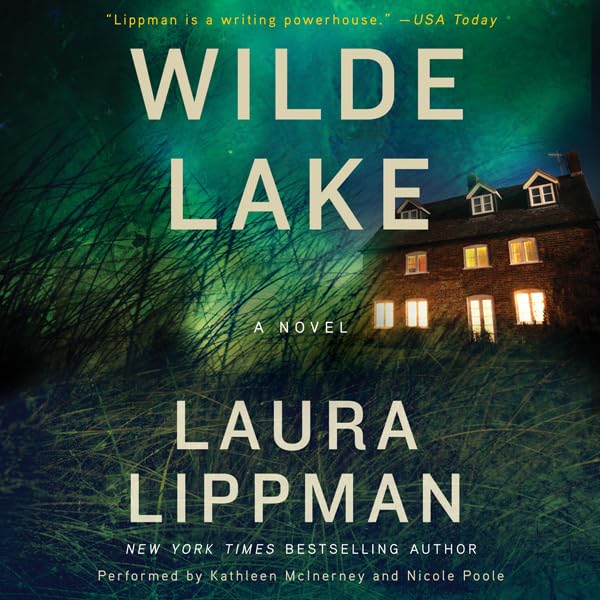 Cover art for Wilde Lake