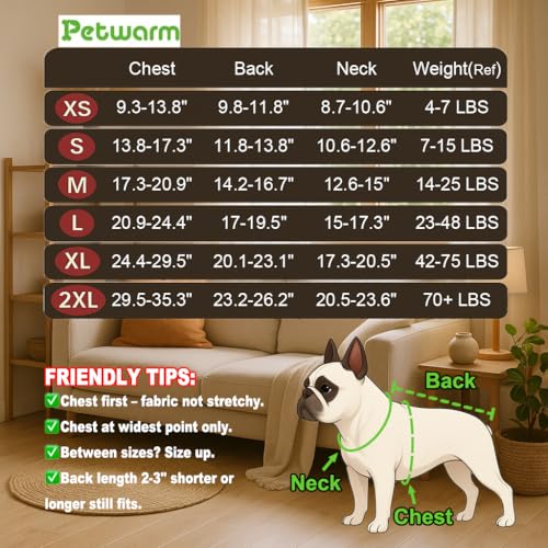 Best Waterproof Coat For Dog Walking fOR 2025