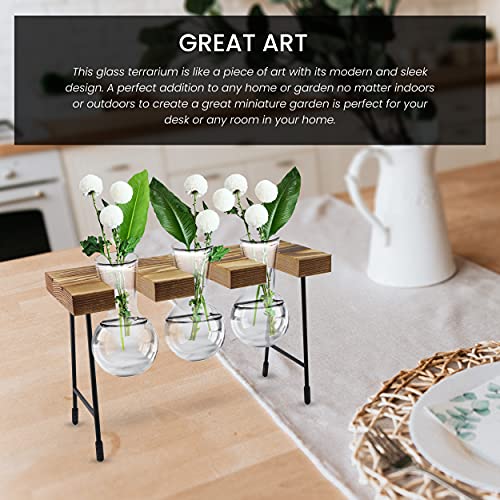 Geometric Glass Plant Terrarium | Decorative Glass Greenhouse Terrarium For Succulent & Air Plant, Indoor Gardening, Outdoor Display, Home Decor, Drawing Room Centerpiece #TOP3