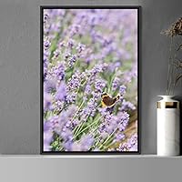 Framed Canvas Wall Art Butterfly Expressive Farmhouse/Country Home Office Insects Lake Multicolor Photography - 16x24 inches
