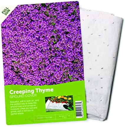 BloomingBulb Seed Mat - Easy to Plant and Grow Garden Seeds - Creates Fragrant, Vibrant Flower Garden – Customizable Flower Beds- Creeping Thyme Ground Cover