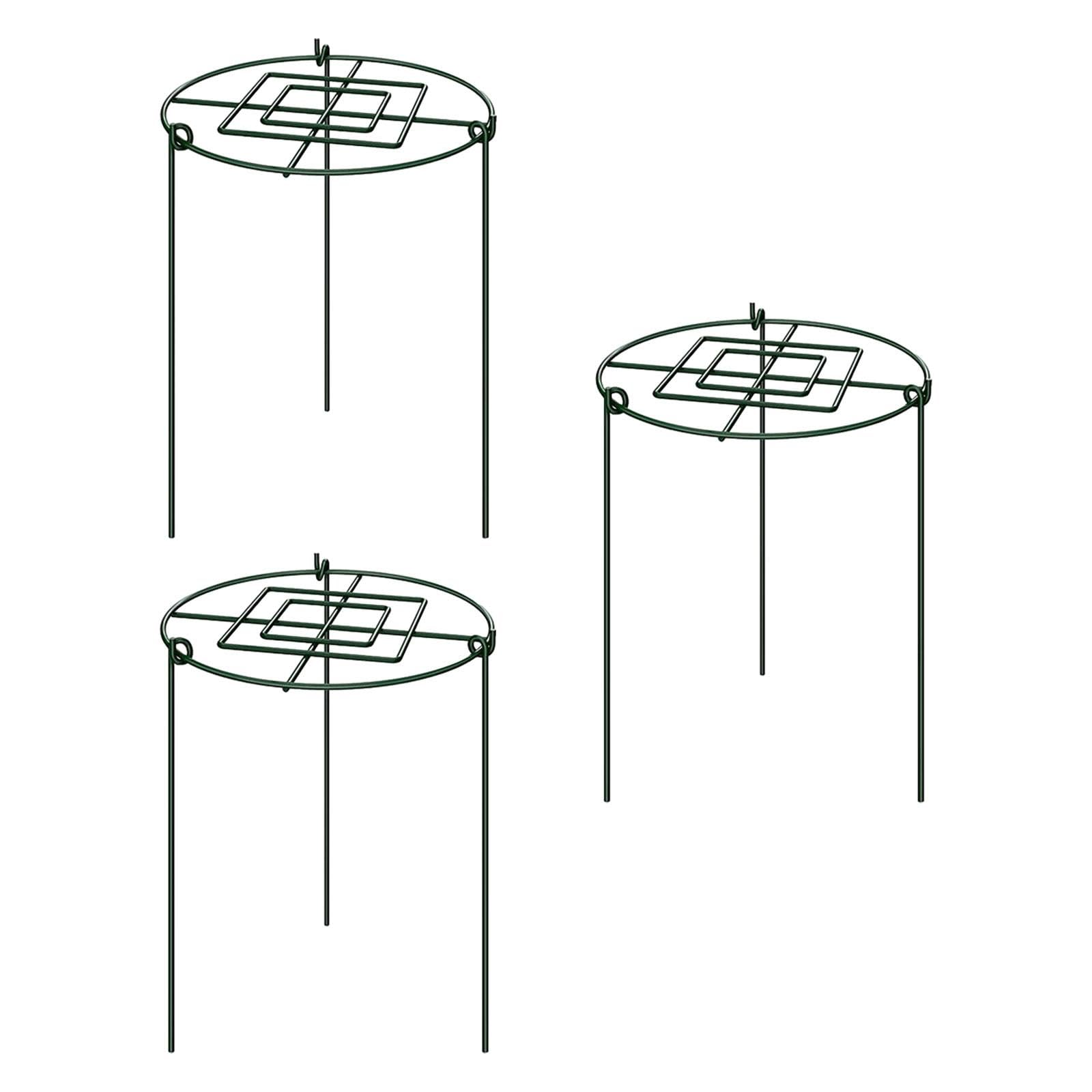 Lot de 3 Cages de Support pour Pivoines, Anneaux de Support Antirouille pour La Croissance des Plantes, Idéales pour Les Pivoines, Les Tomates et Les, 30x60cm