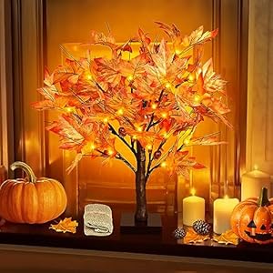 FastDeng 1.5ft Lighted Maple Tree, Artificial Fall Tree Light, Timer 36 LED Light, 72 Leaves, 6 Acorns Autumn Tabletop Tree Battery Operated for Indoor Fall Harvest Home Decor, Thanksgiving Decoration FastDeng 15ft Lighted Maple Tree Artificial Fall Tree Light Timer 36 LED Light 72 Leaves 6 Acorns Autumn Tabletop Tree Battery Operated for Indoor Fall Harvest Home Decor Thanksgiving Decoration