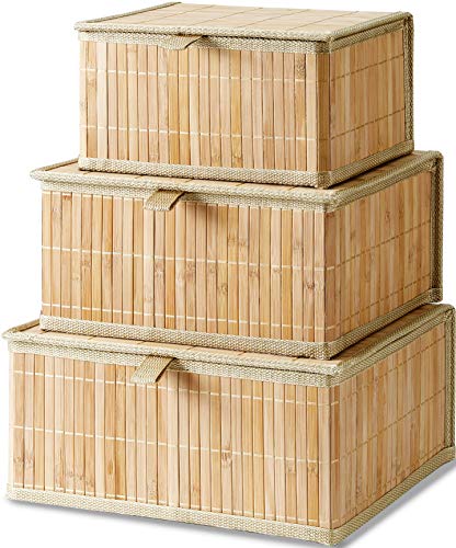 Honygebia Bamboo Decorative Storage Boxes Set of 3 Woven Lined Storage Basket with Lids Beige Wicker Lidded Baskets for Home Kitchen Shelf Organizer Decor