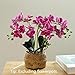 6 Branch Artificial Orchid Stems with Leaves,15” Real Touch Dancing Orchid Flower,Fake Plants Phalaenopsis for Wreaths Wedding Centerpiece Floral Arrangement Porch Summer Cemetery Decor (Rose Pink)