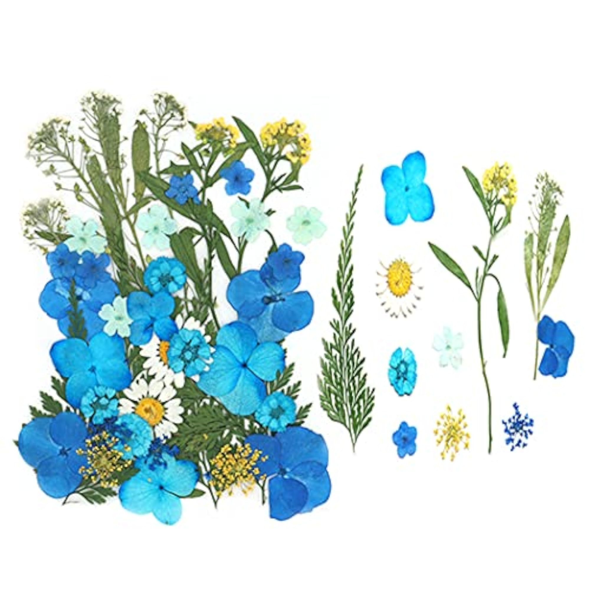 Assorted 40PCS Real Dried Flower Kit for DIY Crafts