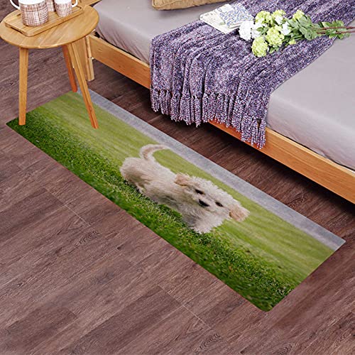 q  M-3 䏊}bg O  킢  炵  傫TCY 􂦂 ]|h~ f ~ߕt 45cm×180cm