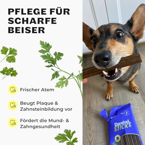 HEY HOLY Dental Sticks für Hunde | 180 g Hundeleckerli zur täglichen Zahnpflege | Schutz für Zähne & Zahnfleisch | 100% natürliche, getreidefreie Inhaltsstoffe