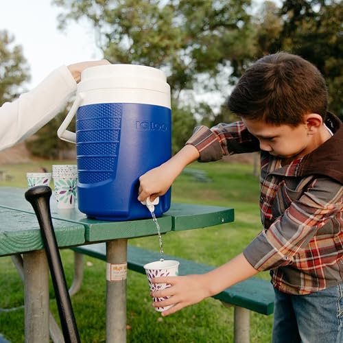 Portable Electric Beverage Cooler