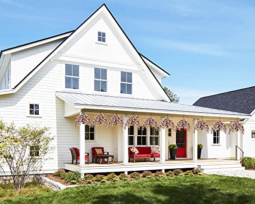 Ammyoo Artificial Hanging Daisy Flowers In Coconut Lining Hanging Basket For Patio Garden Porch Deck Decoration,Artificial Hanging Vine Plant With Basket For Outdoors Indoors Courtyard Decor(Brown) #TOP3