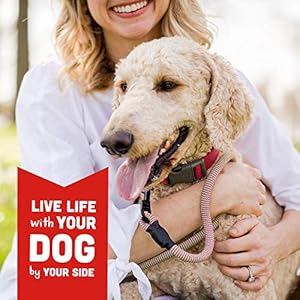 Cloudstar wag extra ok C Bbq rooster jerky 10 ounce   cucciolini doodles