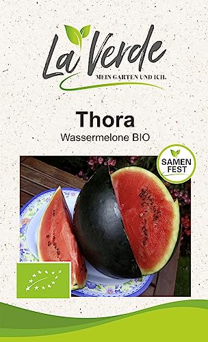 Wassermelone Thora BIO Melonensamen