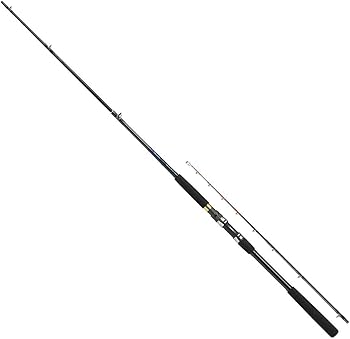 Amazon | ダイワ(DAIWA) 船竿 ヤリイカ X MH-175 釣り竿 | ダイワ