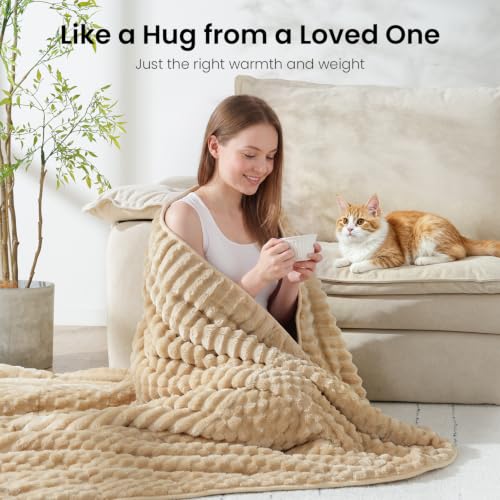 Image of Drewin Weighted Blanket for Adults Queen Size 20lbs, Soft Cozy Turtleback Sherpa Weighted Blankets for Sleeping and Calming, Thick Bed Blanket for Couch Bed, 60 x 80 inches, Light Khaki