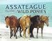 Assateague: Island of Wild Ponies