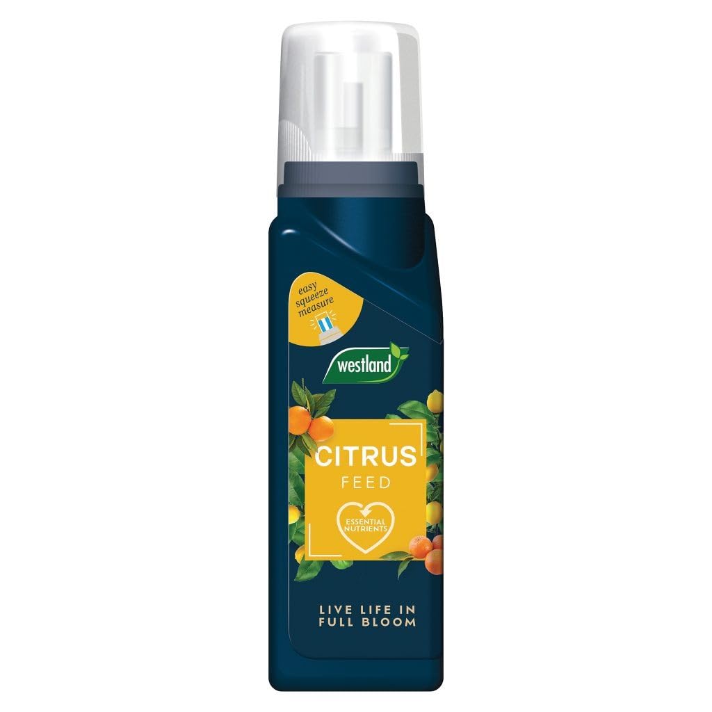 Westland Citrus Feed Concentrate 200ml | Liquid Plant Food for Citrus Trees | Encourages Healthy Growth, Rich Green Leaves & Fruit Development | NPK 5-3-7 | Makes Up to 40L