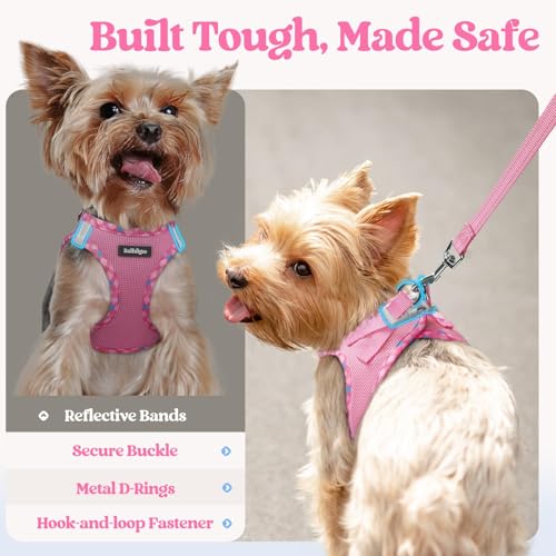 Image of rabbitgoo Dog Harness Small Sized and Leash Set, Step-in Puppy Pet Vest